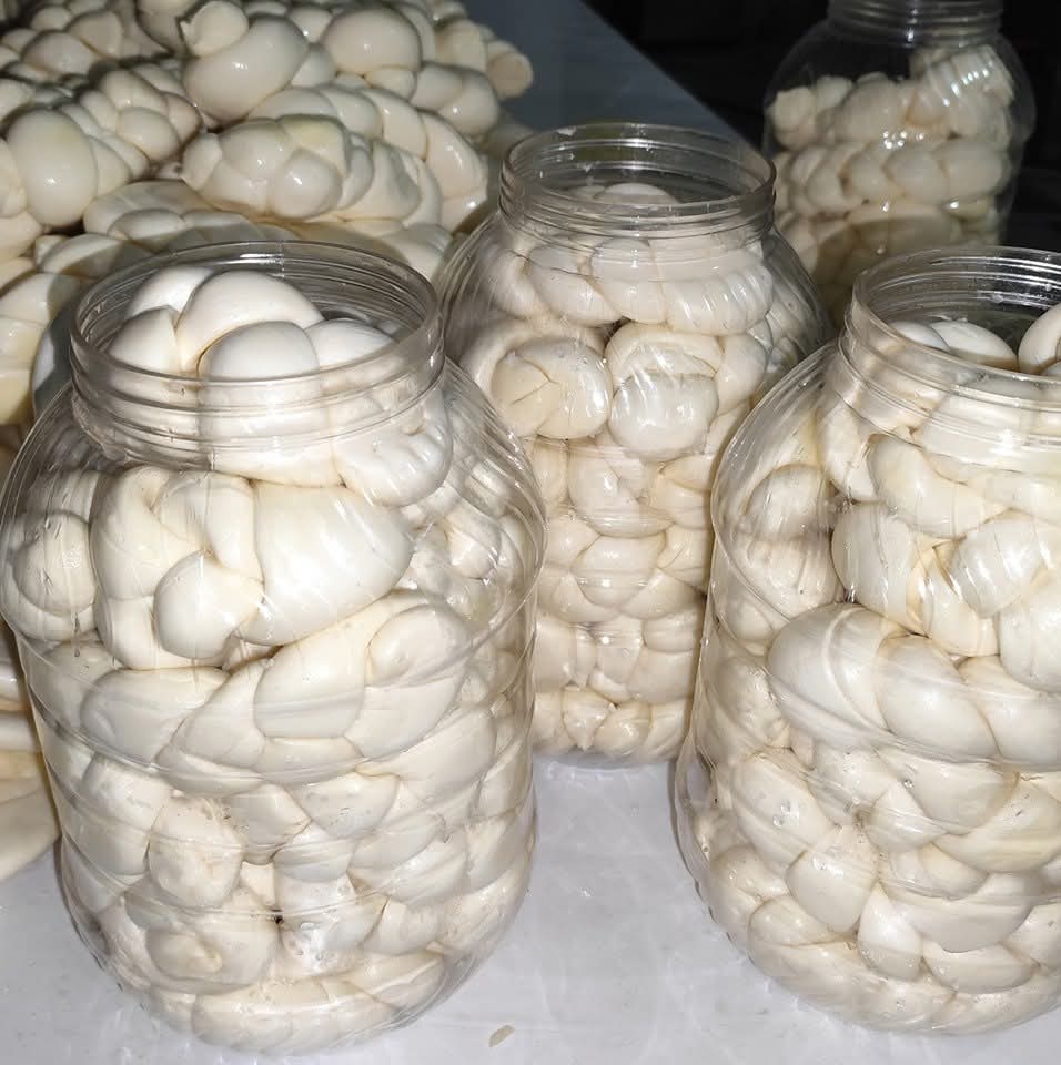 Güneydoğu Yöresel peyniri