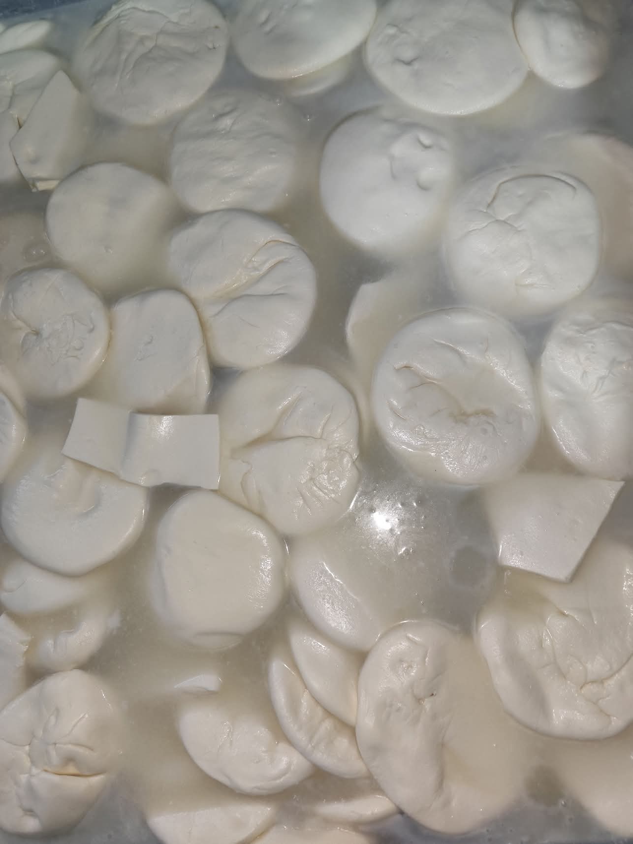 Güneydoğu Yöresel peyniri